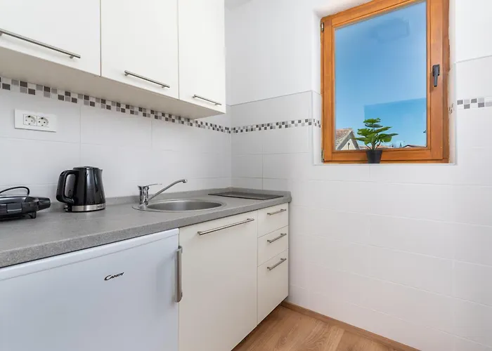 Viktor * Πόρετς